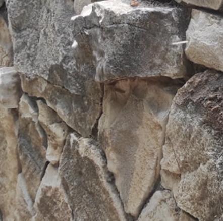 Close-up photo riddle